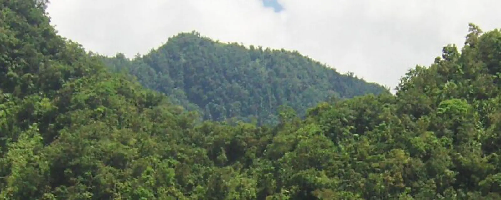 Comoros — ảnh minh hoạ cho bài Comoros — Where the Citizenship Industry and the Statelessness Problem Met, and It Went Wrong