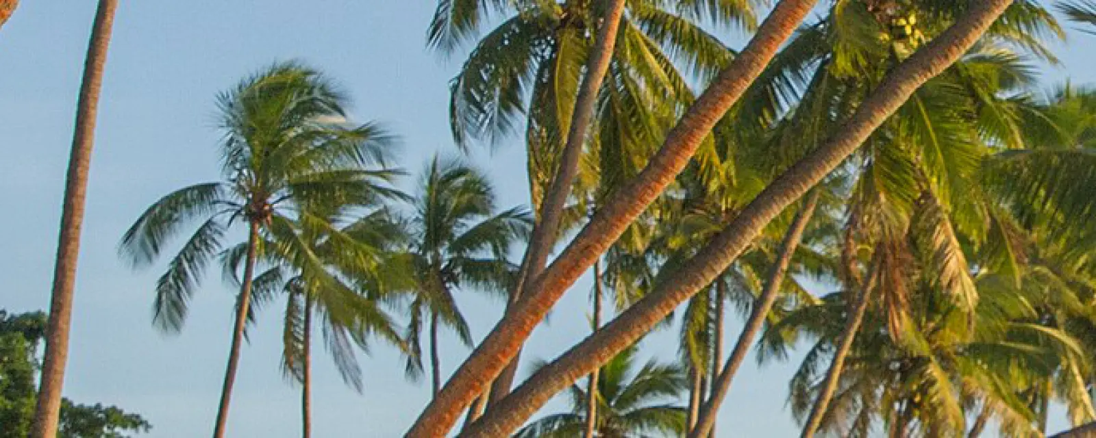 Fiji — illustration for the article Fiji — English, Common Law, and a Base in the South Pacific
