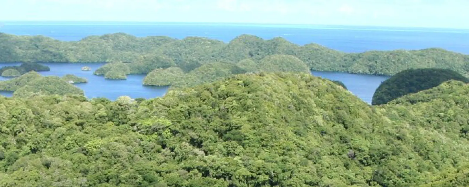 Palau — illustration for the article Palau: Citizens May Live and Work in the US Indefinitely — But Outsiders Almost Cannot Get In