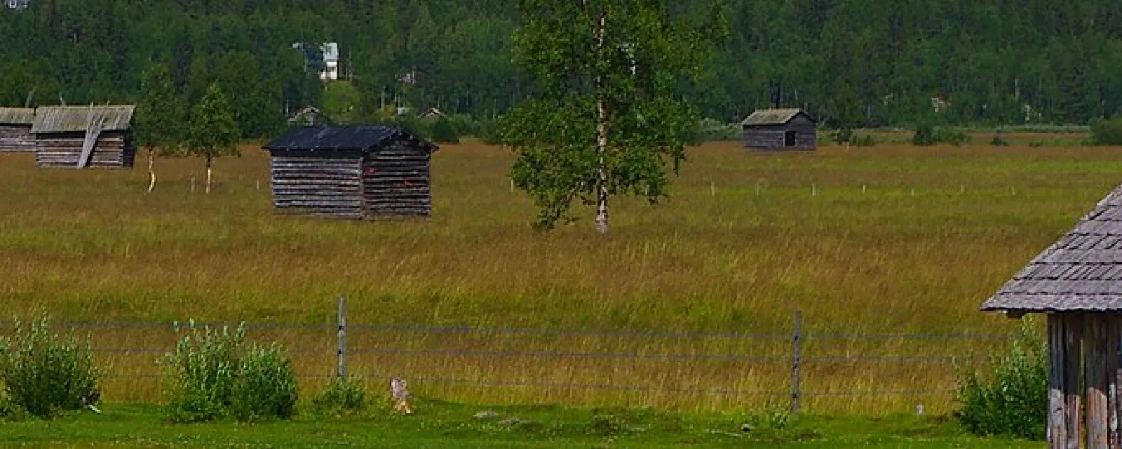 Sweden — illustration for the article Sweden: Once the Nordics' Widest Door, Now Narrowing